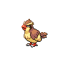 pidgey artwork