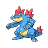feraligatr-pic