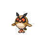 hoothoot-pic
