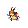 ledyba-pic