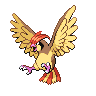 pidgeotto-pic