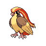 pidgeot-pic