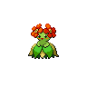 bellossom-pic