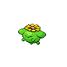 skiploom-pic