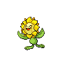 sunflora-pic