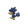 murkrow-pic