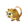 raticate-pic