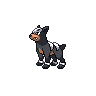houndour-pic