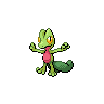 treecko-pic