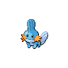 mudkip-pic
