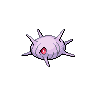 cascoon-pic