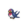 taillow-pic