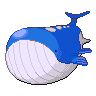 wailord-pic