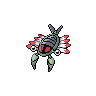 anorith-pic