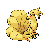 ninetales-pic