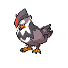 staraptor-pic