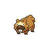 bidoof-pic
