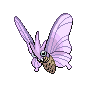 venomoth-pic