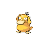 psyduck-pic