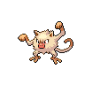 mankey-pic