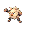 primeape-pic