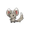 minccino-pic