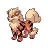 arcanine-pic