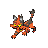torracat-pic