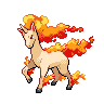 rapidash-pic
