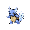wartortle artwork