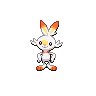 scorbunny-pic