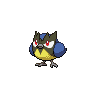 rookidee-pic