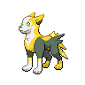 boltund-pic