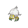 tarountula-pic
