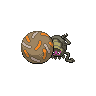 rellor-pic
