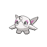 cetoddle-pic